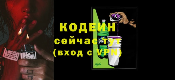 винт Вяземский