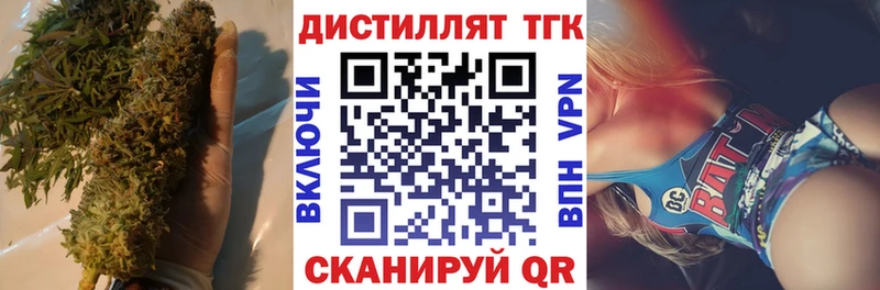 mega как зайти  Людиново  ТГК концентрат 